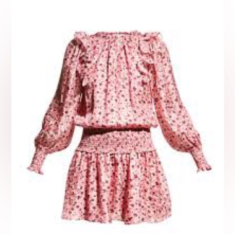 NWT in manu plastic Ramy Brook Penelope Silk Blend Ruffle Dress in Pink Size L - Picture 2 of 12